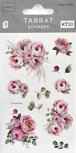 Tarra KT20 Elisa Parto pionit