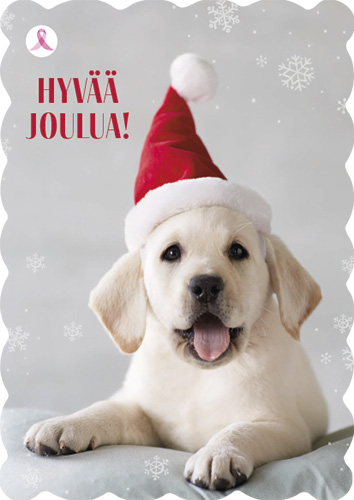 1-os joulu Roosa nauha PMM Hallmark