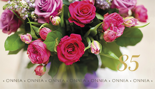 2-os vuosikortti 85v folionumero