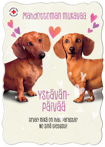 1-os ystävänpäivä SPR PMM Hallmark