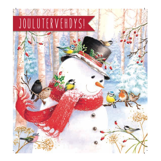 1-os joulu TMS lumiukko