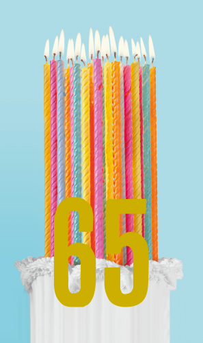 2-os vuosikortti 65v