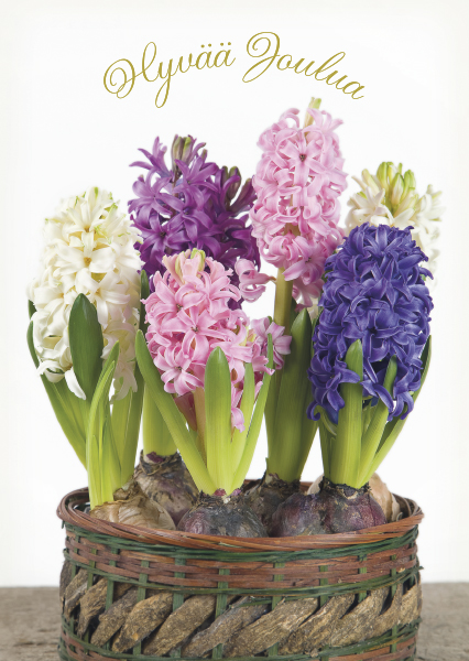 1-os joulu Jorma Jämsen