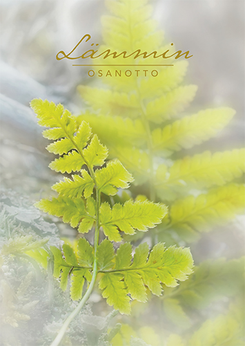 Suruadressi Saniainen Kirkon ulkomaanapu