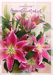 [2520083] 1-os onnittelu