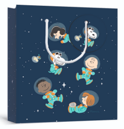 [6631056] Lahjakassi S/E Tenavat Astronautit