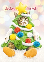 [117897] 1-os joulu Avanti