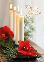 [117961] 1-os joulu Sari Savela