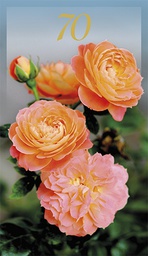 [1770063] 2-os vuosikortti 70v folionumero