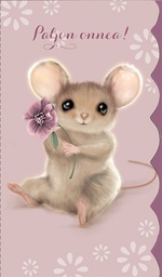 [49P00248] 2-os kortti Mainelakeus