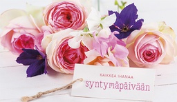 [1910044] 2-os syntymäpäivä 