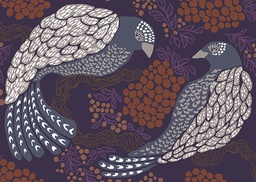 [2725487] 1-os kortti Vallila Viserrys terra-lila