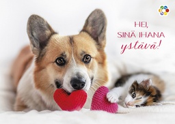 [437877] 1-os ystävänpäivä Syöpäpotilaat PMM