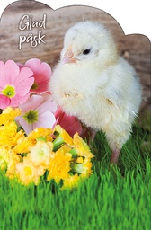 [162470] 1-os pääsiäinen R stanssattu Jorma Jämsen