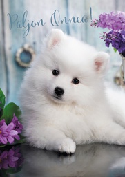 [475P0000] 1-os eläinkortti koira