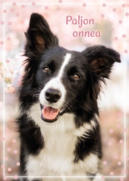 [475P0010] 1-os eläinkortti koira