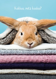 [3934005] 1-os hupikortti