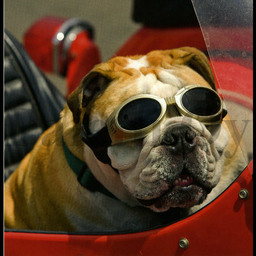 [31965] 1-os neliökortti Aquarupella