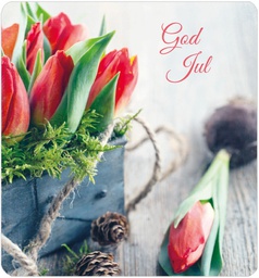 [28704] 1-os Joulu R Anna-Mari West