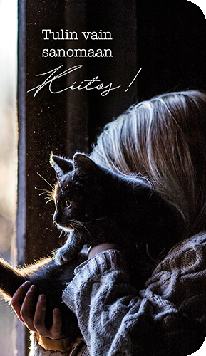 2-os kortti Joel Jyrinki