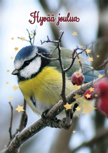 1-os joulu Kati Pekkarinen