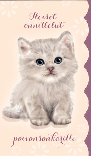 2-os kortti Mainelakeus