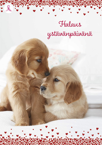 1-os ystävänpäivä Roosa nauha PMM Hallmark