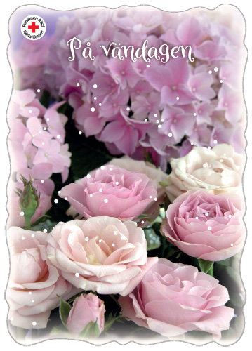 1-os ystävänpäivä R SPR PMM Sari Gustafsson