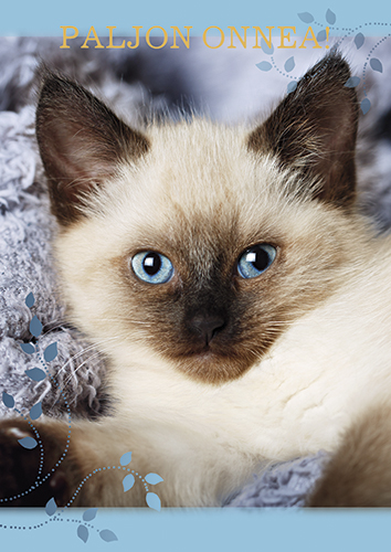 1-os eläinkortti kissa