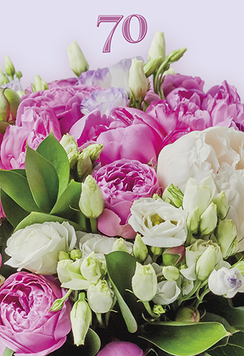 2-os vuosikortti 70v