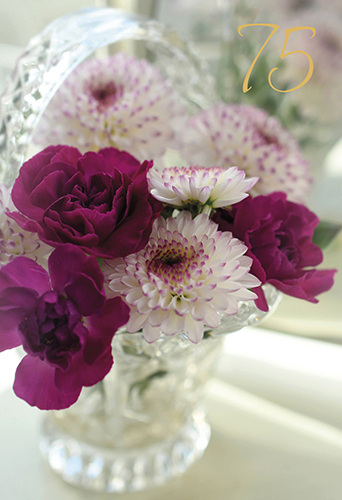 2-os vuosikortti 75v