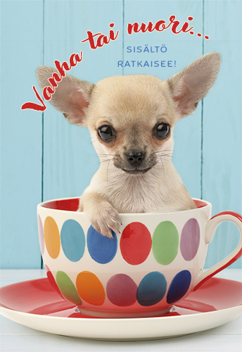 2-os syntymäpäivä