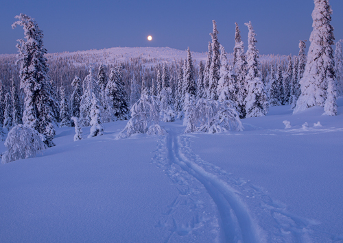 1-os kortti Lappi talvi