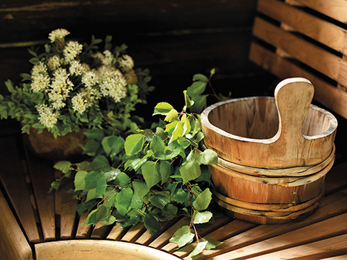 Juliste 30x40cm Saunakiulu ja -vihta