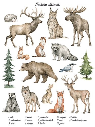 Juliste 30x40cm metsän eläimet