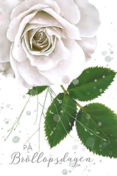 [3321022] Pakettikortti hää R Annika Nykänen