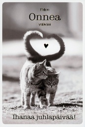 [4904390] 2-os kortti