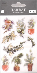 [351235] Erikoistarra KT20 kasvit