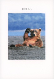 [49P00125] 2-os kortti engl