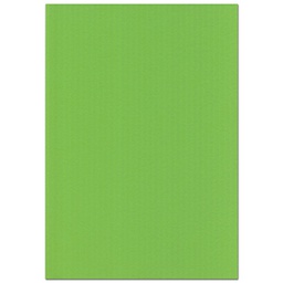 [38951] Kartonki 50x70cm 220gsm kirkkaan vihreä 25ark/pkt