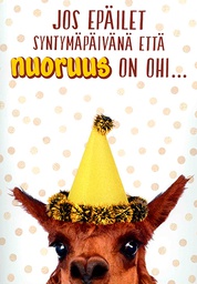 [51P0108] 2-os äänikortti