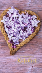 [1961032] 2-os kiitos