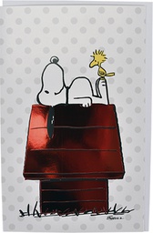 [28P00068] 2-os kortti Tenavat 