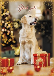 [117979] 1-os joulu R