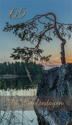 [1765719] 2-os vuosikortti R 65v