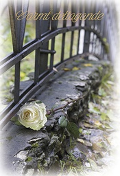 [1983088] 2-os osanotto R