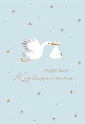 [22P40010] 2-os kastekortti poika